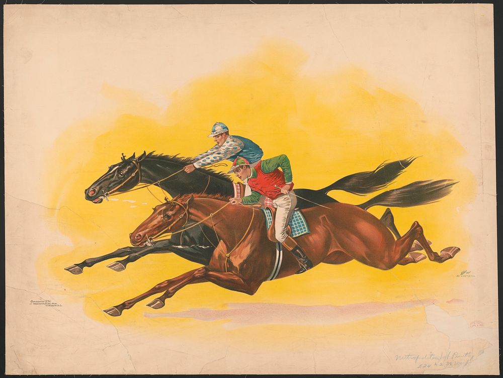 [Two horses being ridden by jockeys]