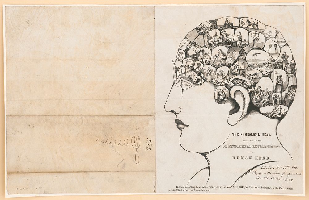 The Symbolical head, illustrating all the phrenological developements of the human head