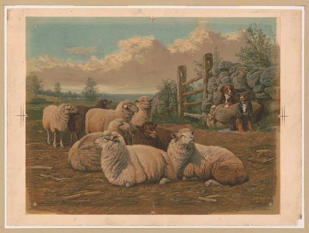 [The faithful shepherds] / A.F. Tait, N.Y. [18]97., Gray Lith. Co., lithographer