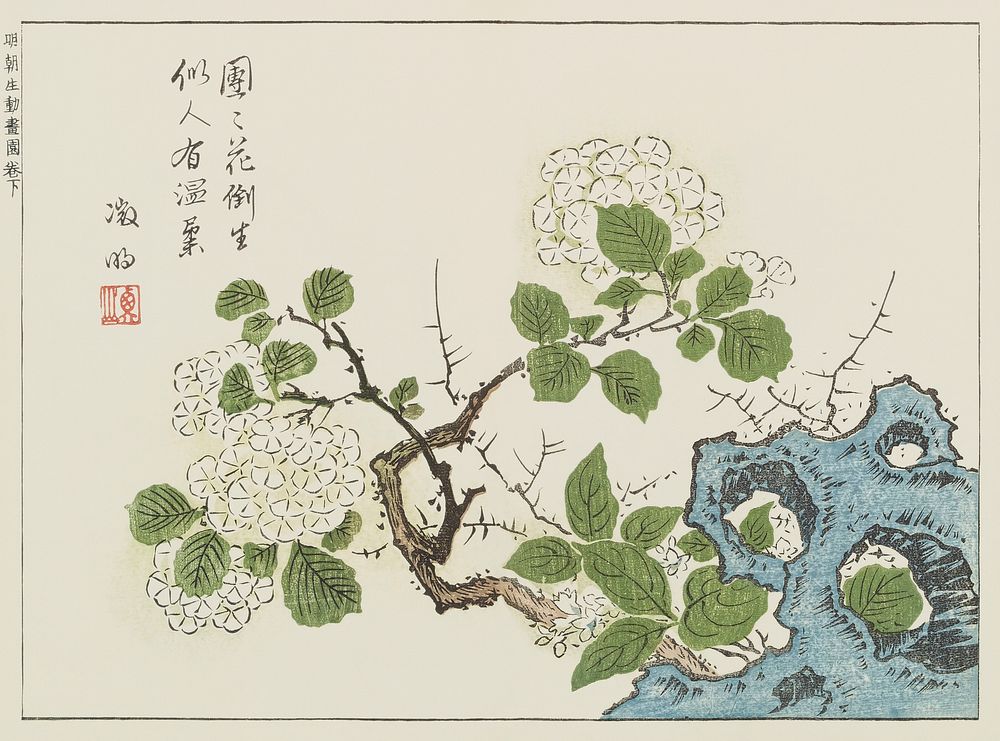 Japanese flower. Original public image from the New York Public Library