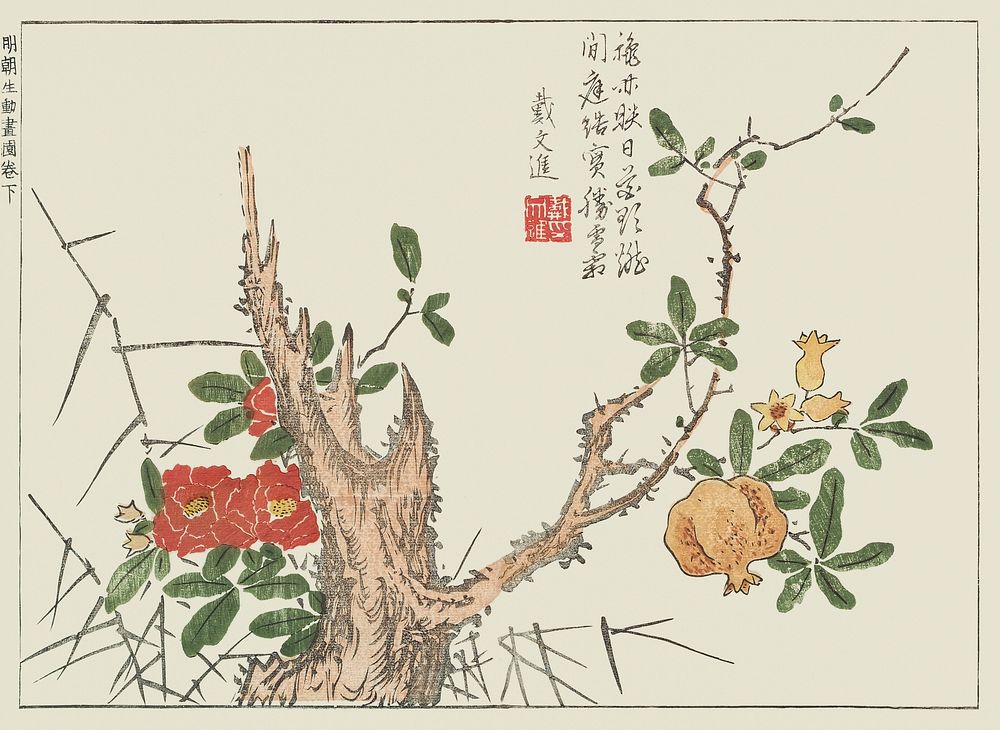 Japanese flower. Original public image from the New York Public Library