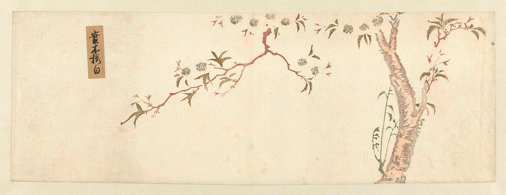 Blossoms by Utagawa Hiroshige. Original public domain image from the Rijksmuseum.