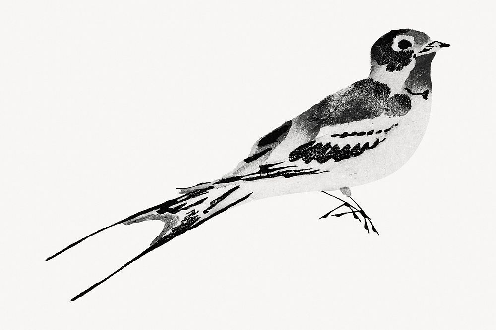 Vintage swallow bird. Remixed by rawpixel.