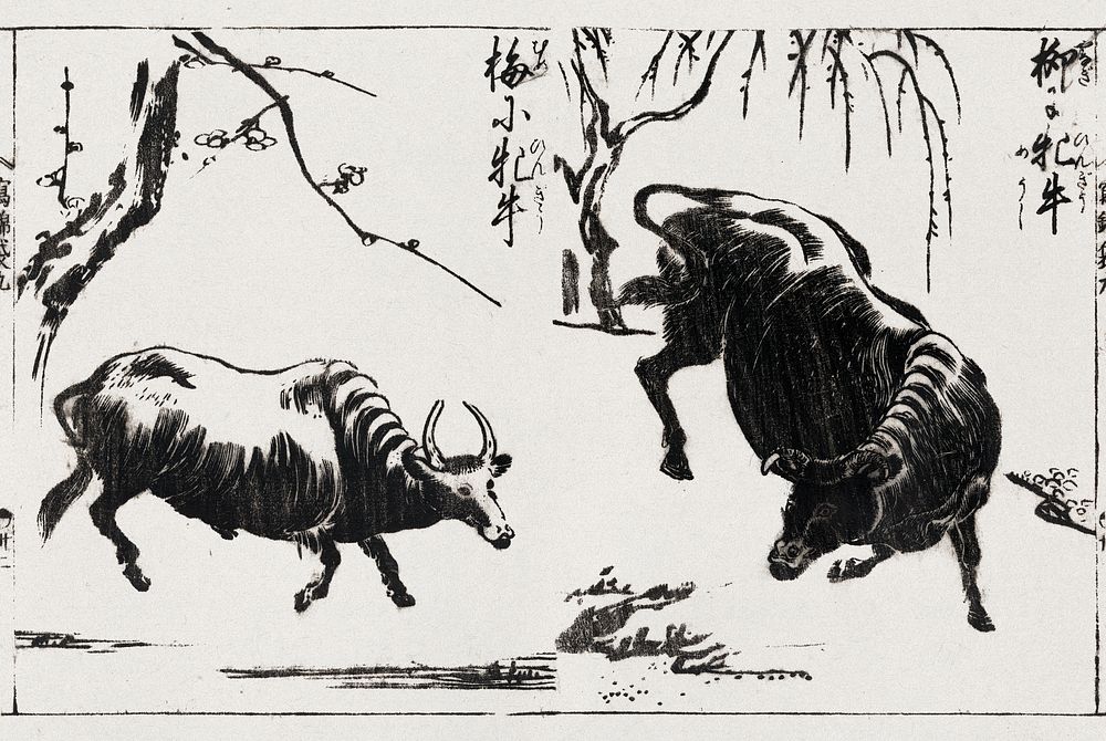 Two oxen (1679-1748) vintage Japanese woodcut by Tachibana Morikuni. Original public domain image from the Library of…