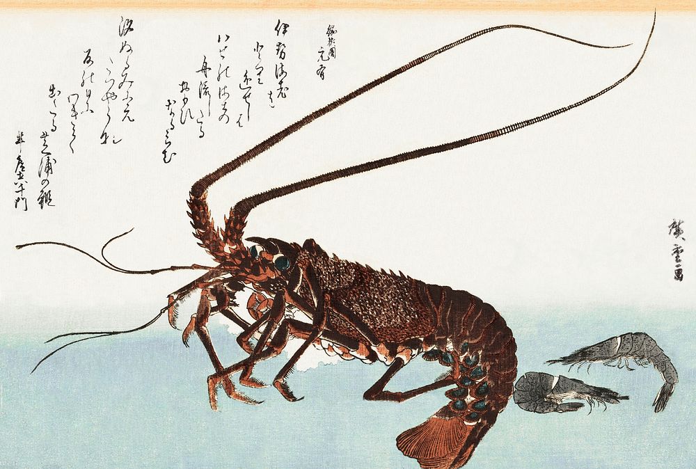 Ise-ebi and Shiba-ebi (1830) the series Uozukushi by Utagawa Hiroshige. Original public domain image from the Library of…