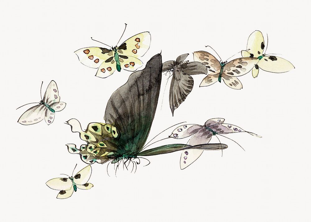 Hokusai&rsquo;s Butterflies and Moths.  Remastered by rawpixel. 