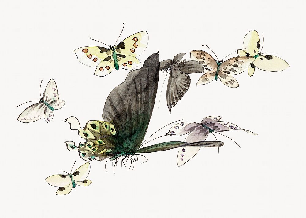 Hokusai’s Butterflies and Moths. | Premium Photo Illustration - rawpixel