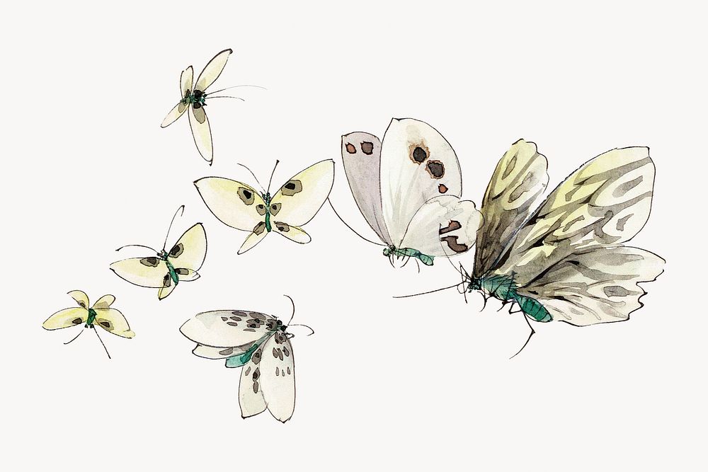 Hokusai&rsquo;s Butterflies and Moths.  Remastered by rawpixel. 