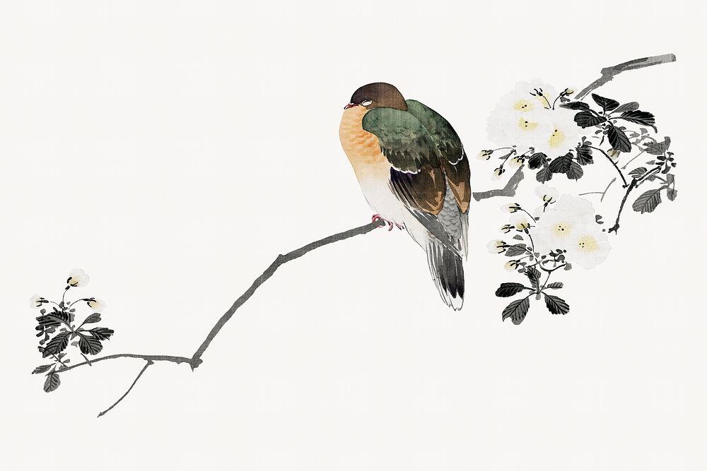 Japanese bird perched on branch.   Remastered by rawpixel. 