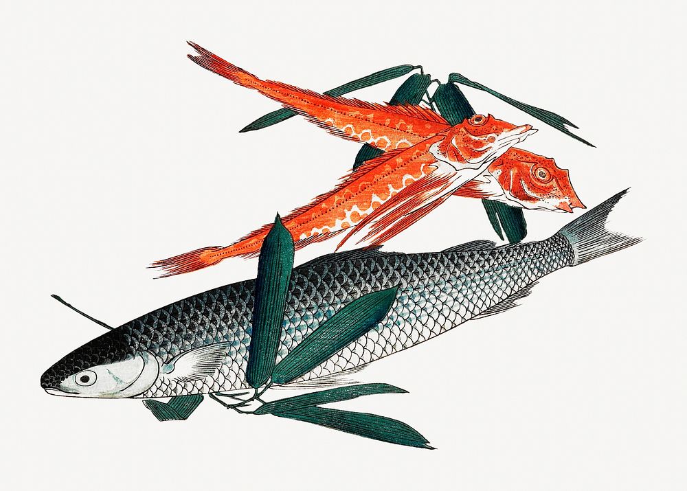 Hiroshige's Cod and Gurnard, Japanese fish illustration psd.   Remastered by rawpixel. 