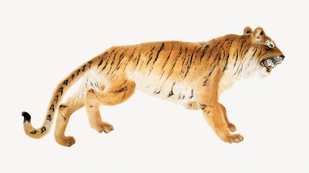 Vintage tiger desktop wallpaper, animal illustration. Remastered by rawpixel. 