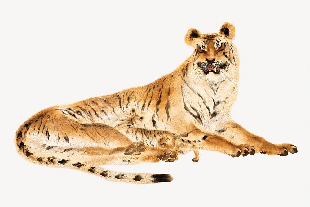 Reclining tiger, vintage animal illustration psd. Remastered by rawpixel. 