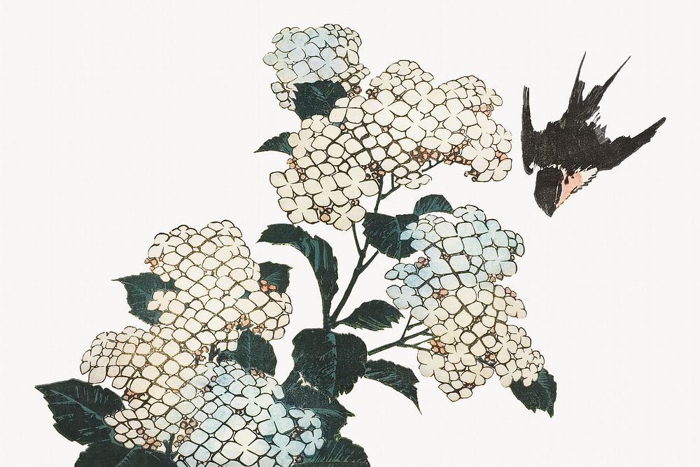Hokusai's hydrangea and swallow.   Remastered by rawpixel. 