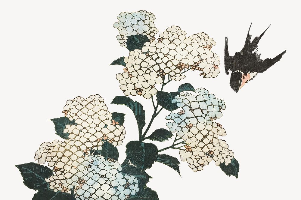 Hokusai's hydrangea and swallow psd.   Remastered by rawpixel. 