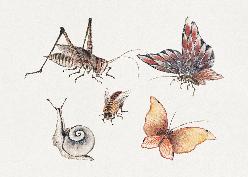 Katsushika Hokusai's insects, from Album of Sketches (1814) vintage Japanese woodblock prints. Original public domain image…