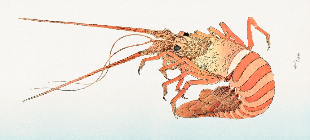 Japanese lobster (1615&ndash;1868) from Album of Sketches by Katsushika Hokusai and His Disciples. Original public domain…