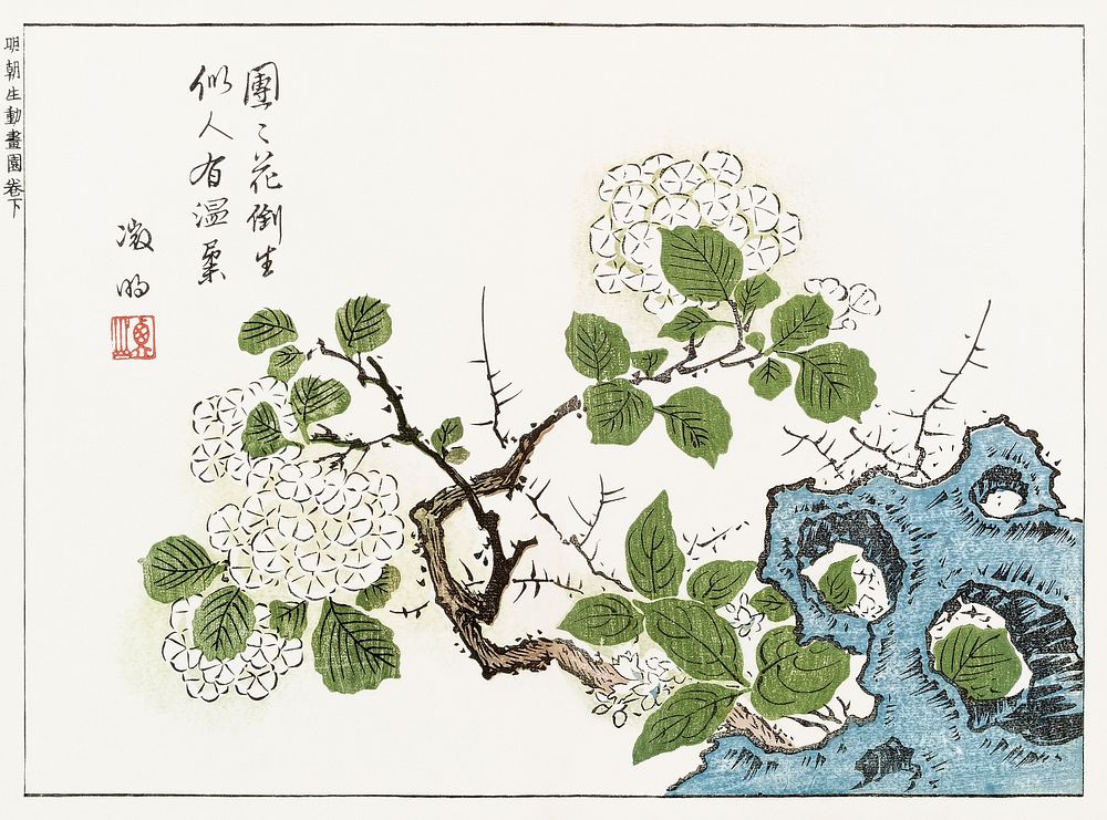 Botanical from Minch&ocirc; shiken, Sorimachi 409 (1746) vintage Japanese woodblock prints by &Ocirc;oka Shunboku. Original…