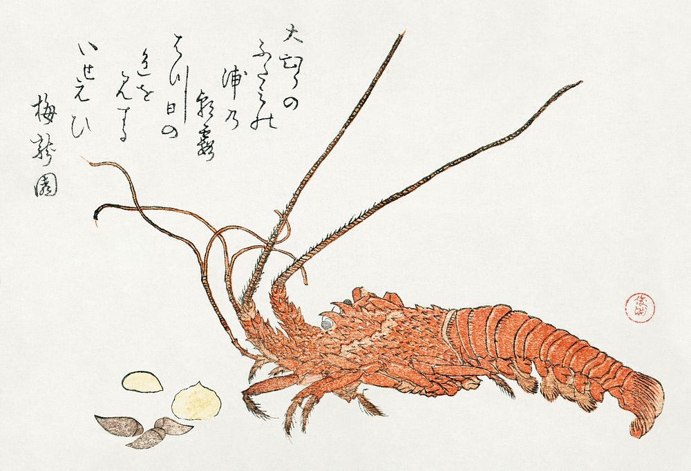 Lobster and Shells (1800-1805) by Kubota Shunman. Original public domain image from the Rijksmuseum.   Digitally enhanced by…