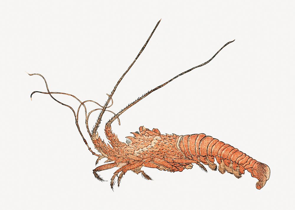 Japanese lobster, vintage animal psd. Remastered by rawpixel. 