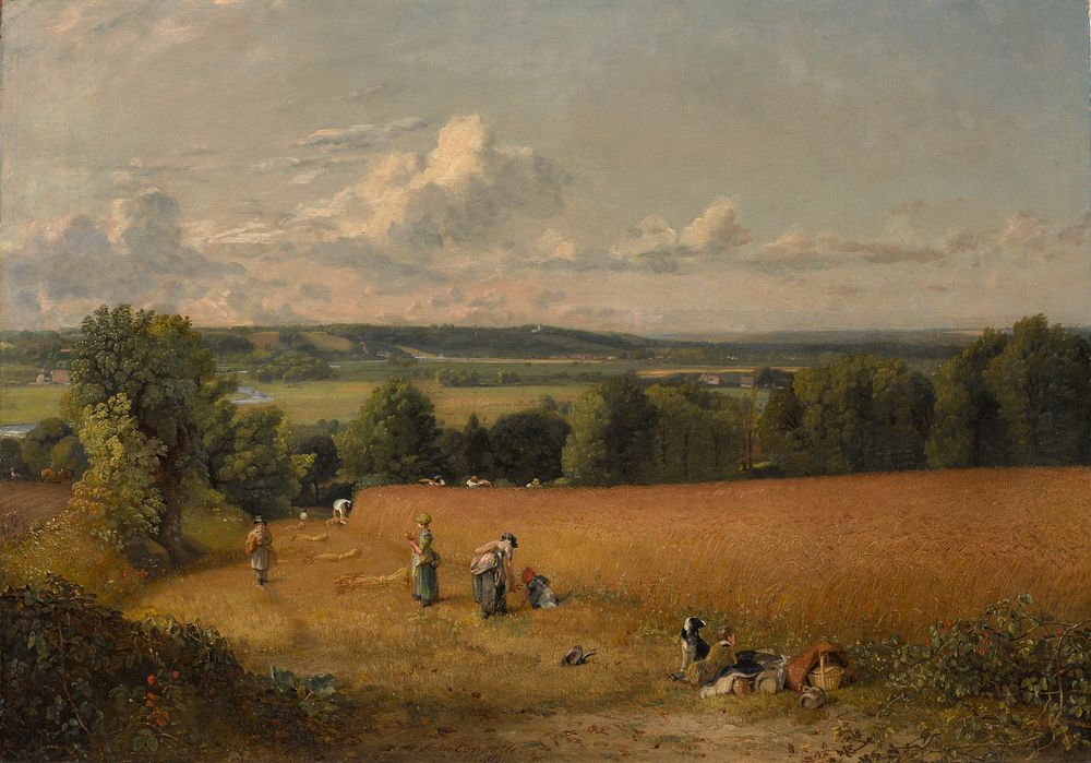 The Wheat Field (1816) painting in high resolution by John Constable. 
