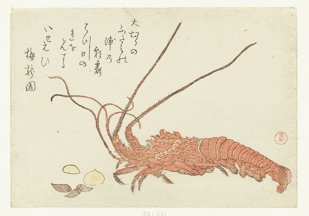 Lobster and Shells (c.1800 - c.1805) print in high resolution by Kubota Shunman. Original from the Rijksmuseum. 