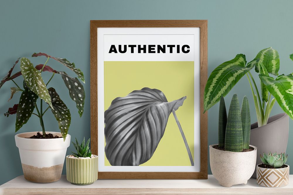 Aesthetic framed photo with houseplant, home decor