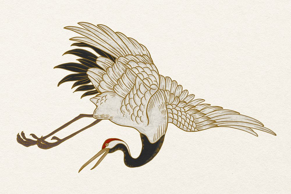 Watanabe Shoka's crane bird, oriental animal illustration