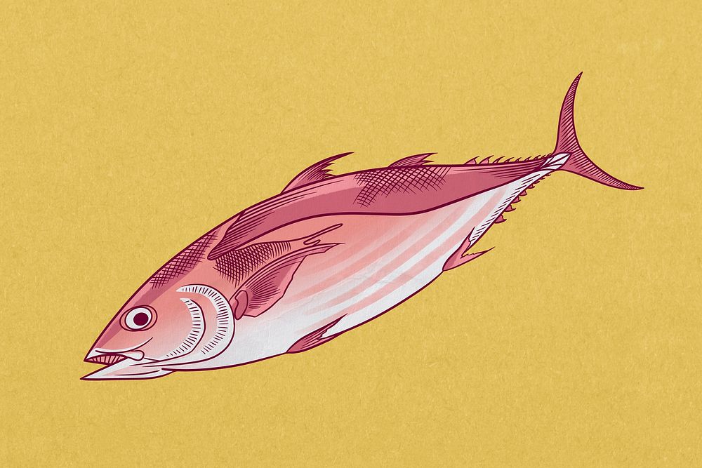 Tuna fish, vintage Japanese animal illustration