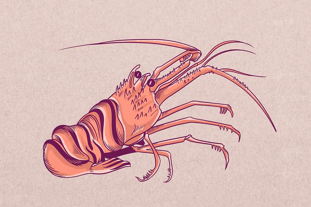 Vintage lobster, sea animal illustration psd