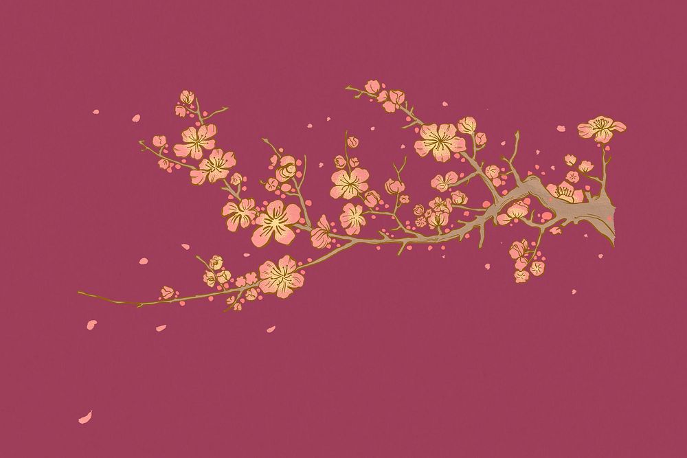 Vintage cherry blossom illustration