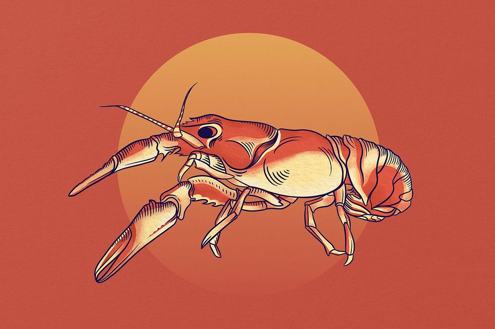 Japanese crayfish background, sea animal illustration