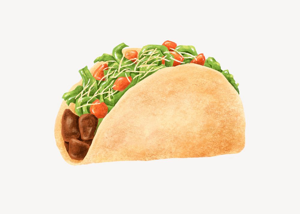 Soft taco, Mexican food illustration vector