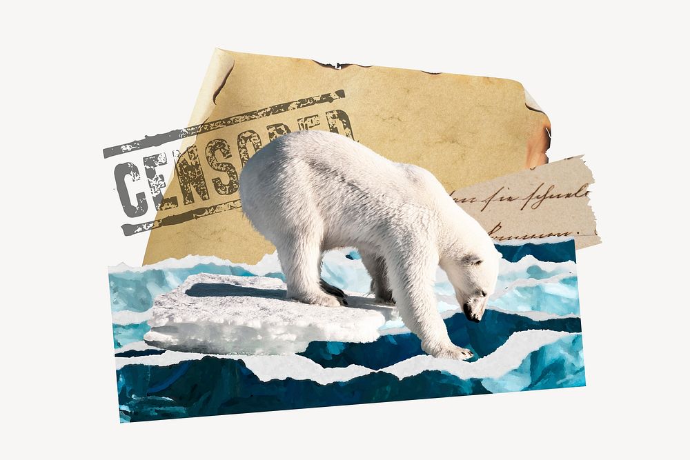 Polar bear ephemera, climate change illustration