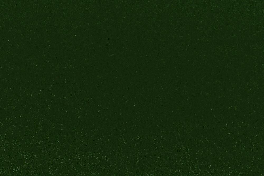 Green texture background, high resolution picture