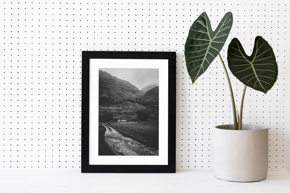 Aesthetic framed photo with houseplant, home decor