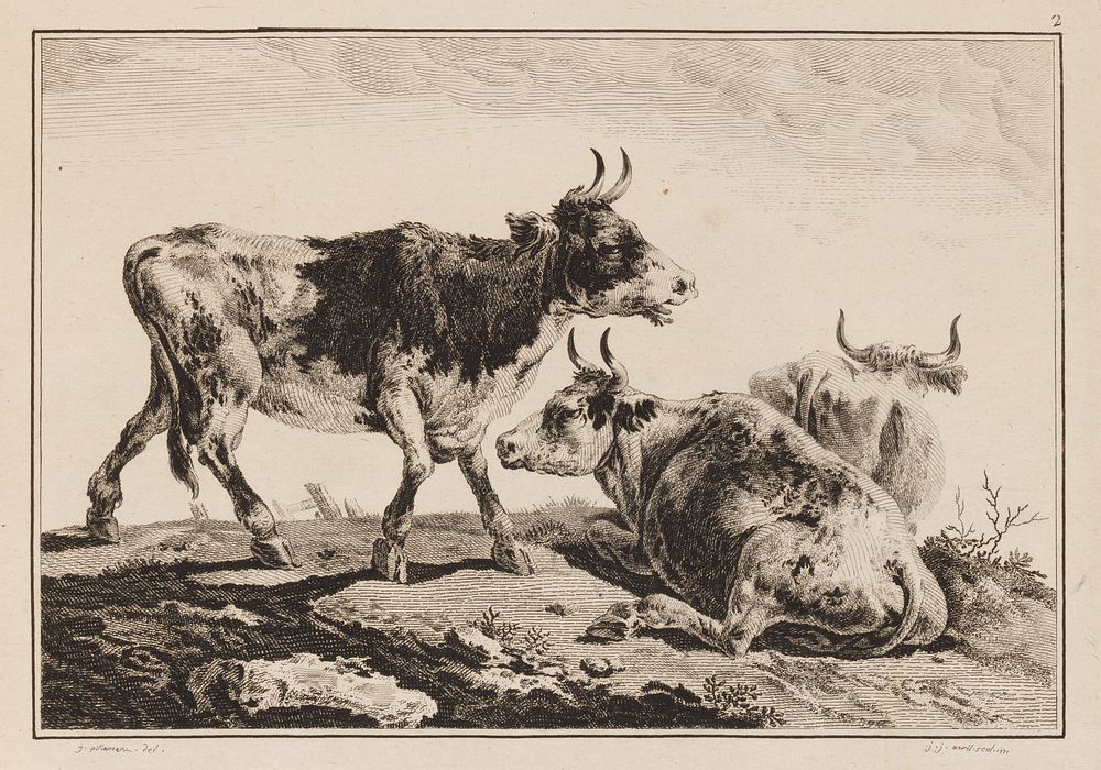 Plate 2, from "Cahier de Six Feuilles de Boeufs et Vaches "