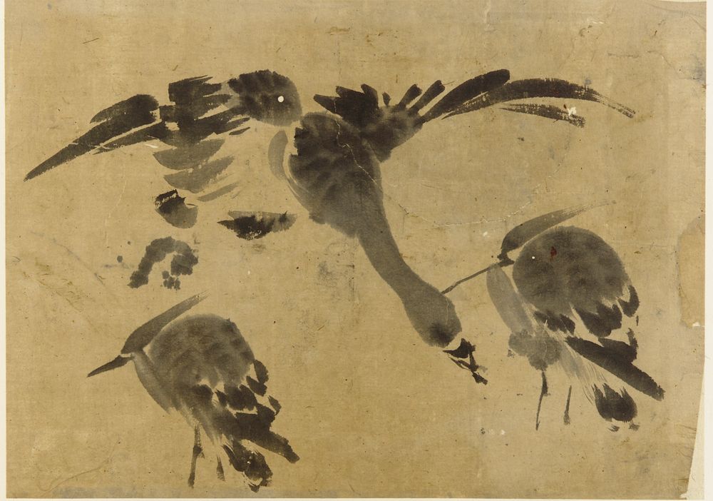 Two herons and a goose, Kano