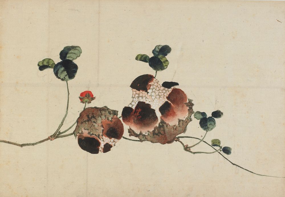 Pomegranates by Katsushika Hokusai
