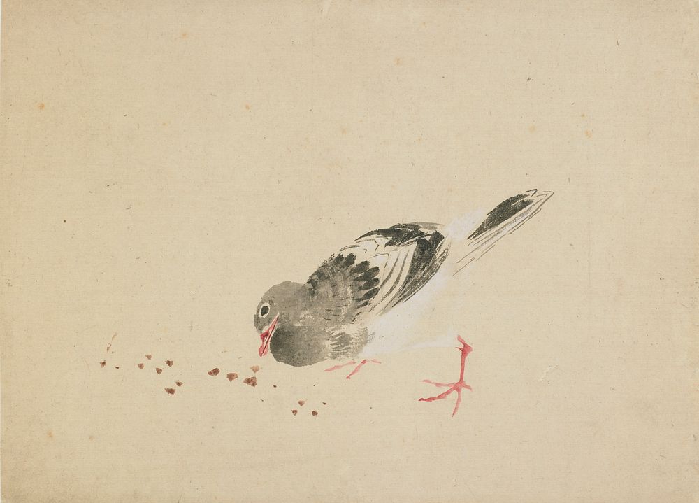 Pigeon by Katsushika Hokusai