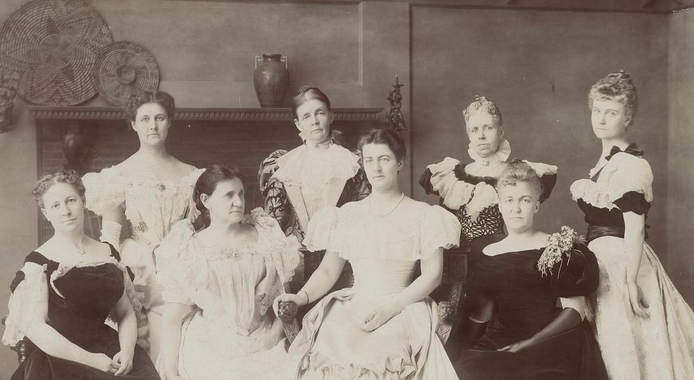 Mrs. Cleveland and Wives of Cleveland Cabinet