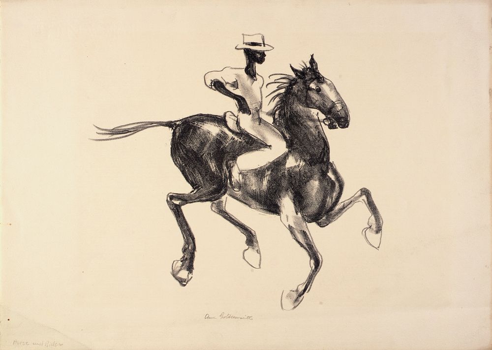 Horse and Rider