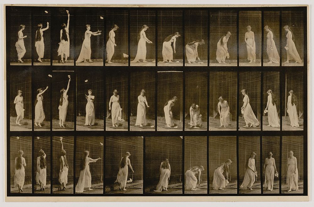 Woman Throwing Handkerchief in Air, Picking It Up, from the book Animal Locomotion by Eadweard Muybridge