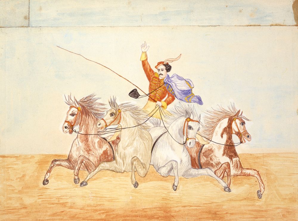 Acrobat Rider on Four Horses by Lawrence W. Ladd