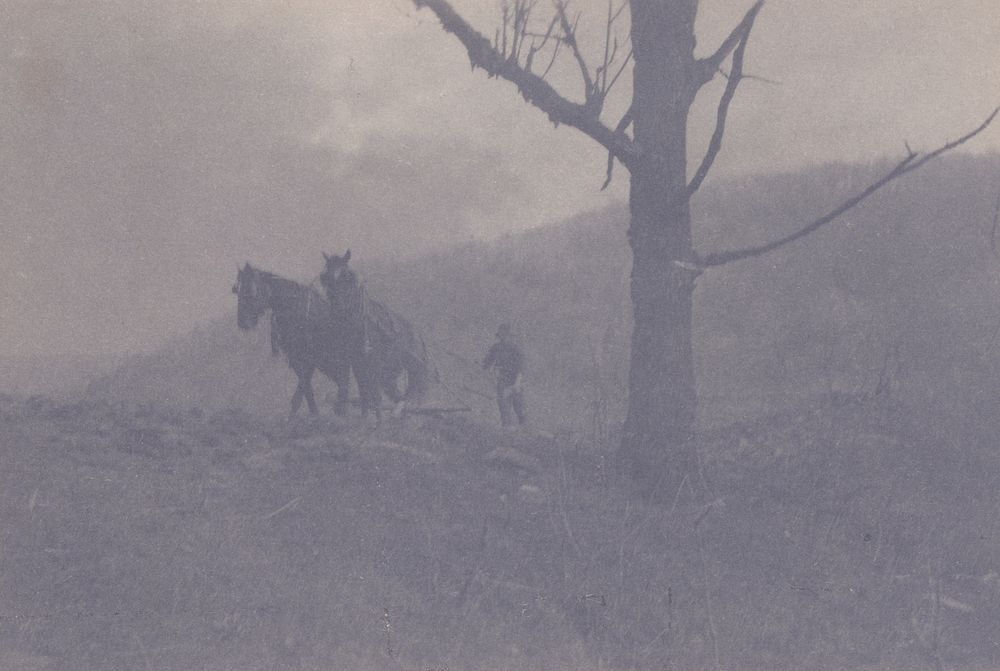 Ploughman in Landscape