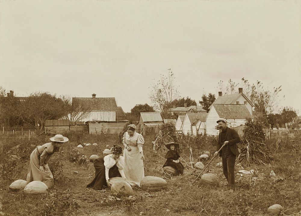 In the Pumpkin Field at Lewes (The Photographer's Wife, his Daughter, and Friends)