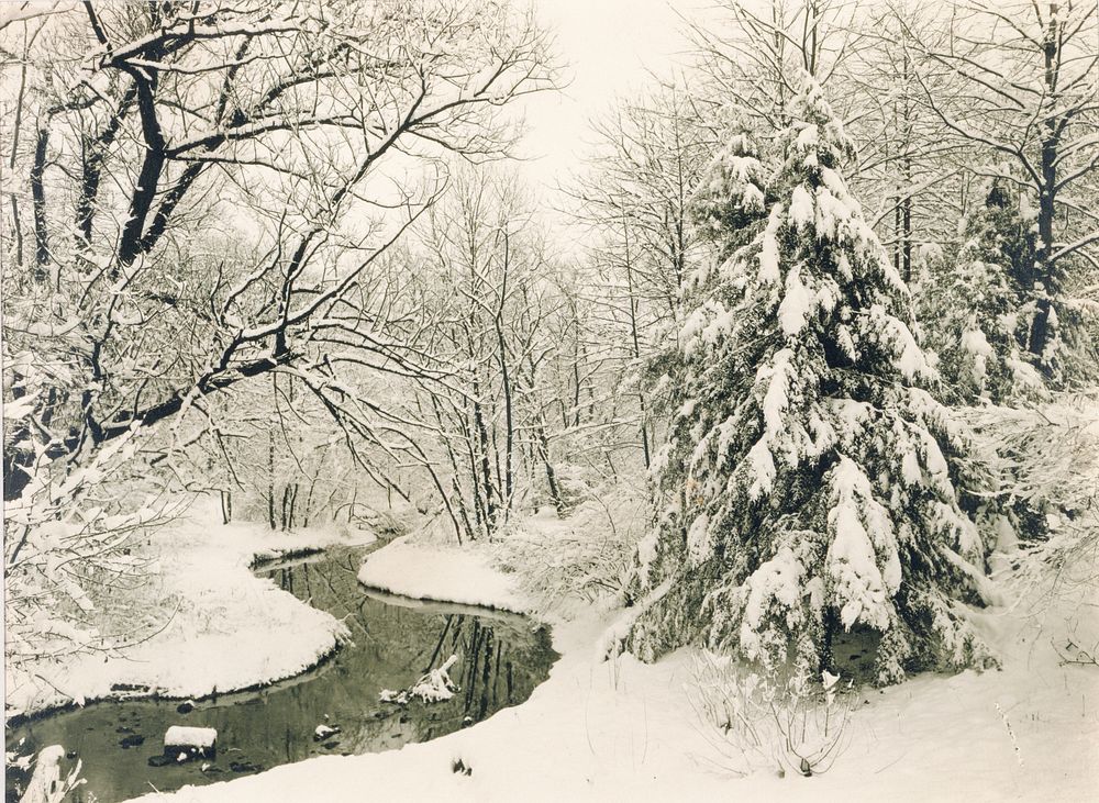 Winter Scene in Fairmount Park, Philadelphia