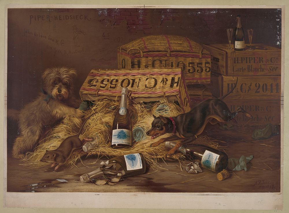 Two dogs chasing mouse through open case of champagne (1878). Original from the Library of Congress.