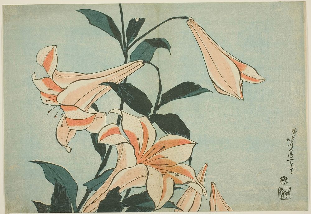 Hokusai's lilies. Original from The Art Institute of Chicago.