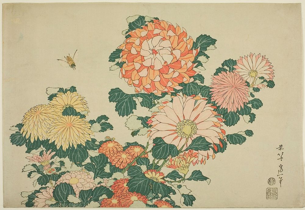 Hokusai's chrysanthemums and bees. Original from The Art Institute of Chicago.