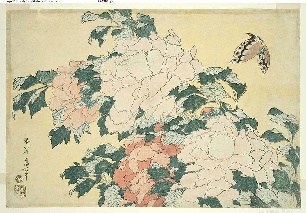 Hokusai's Peonies and Butterfly (1833-1834). Original from The Art Institute of Chicago.